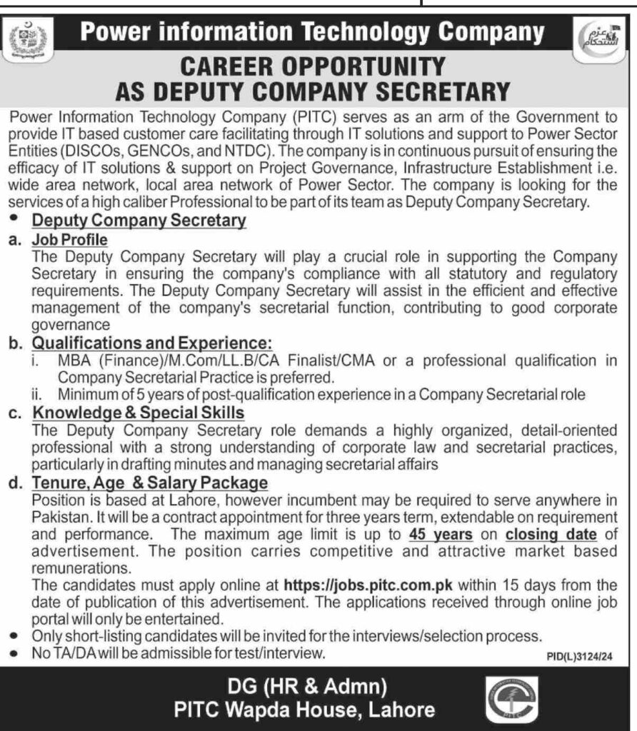 Power Information Technology Company Deputy Company Secretary