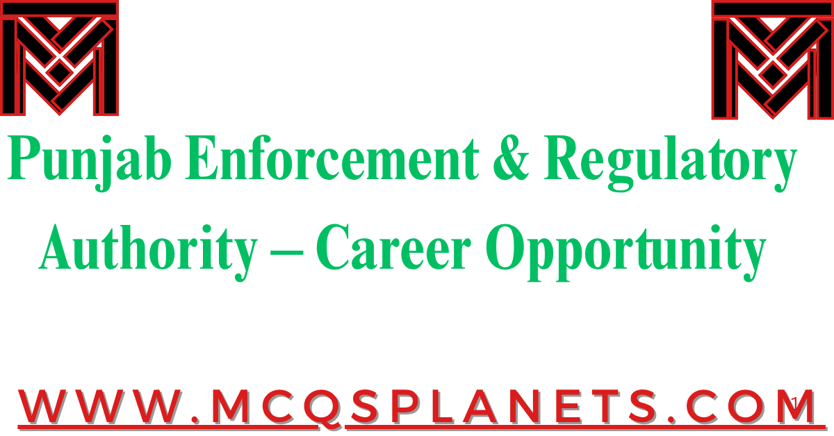 Punjab Enforcement & Regulatory Authority – Career Opportunity
