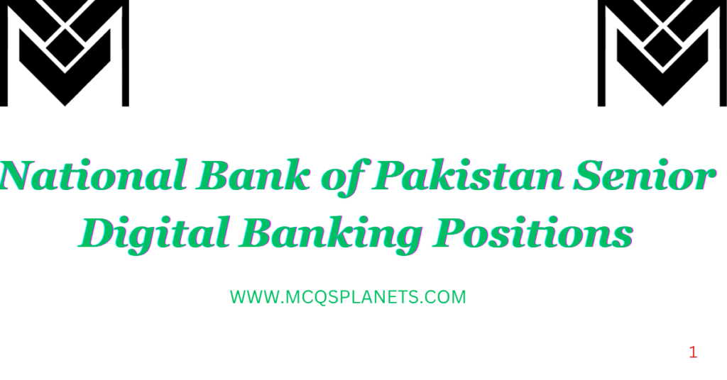 National Bank of Pakistan Senior Digital Banking Positions